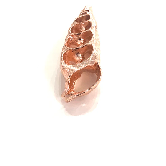 Rose Gold Plated Turritella Terebra Pendant - Image 3